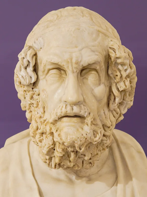 Bust of Homer, Roman copy of a Hellenistic original, Farnese collection, Naples (photograph by NikonZ7II, CC BY-SA 4.0)